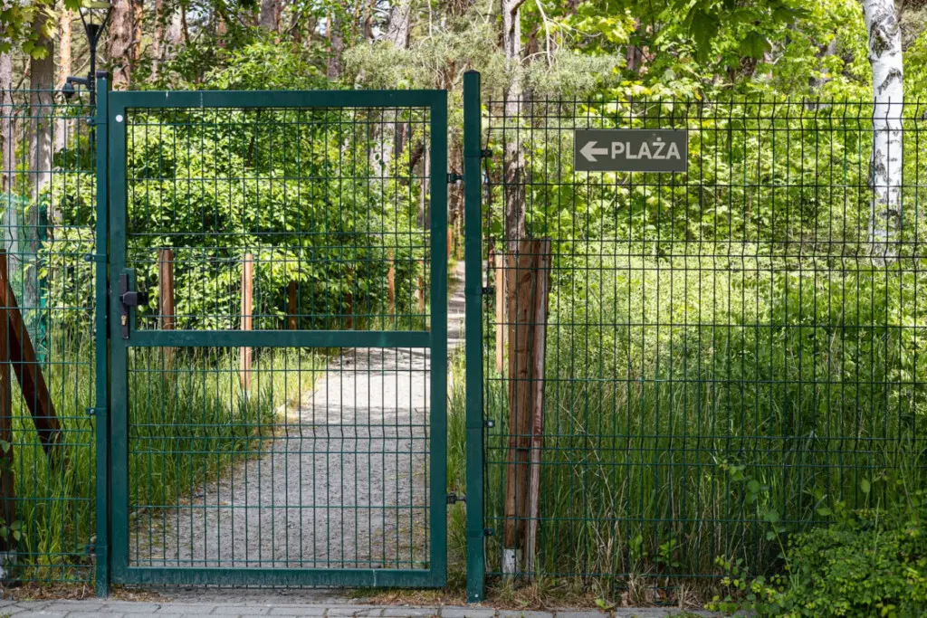 70594 497264 qjvObjdh1yKwEa9cJZggfpA6OISyPOoI3PjvnMOcqvk 69b70a7788ef1.jpg