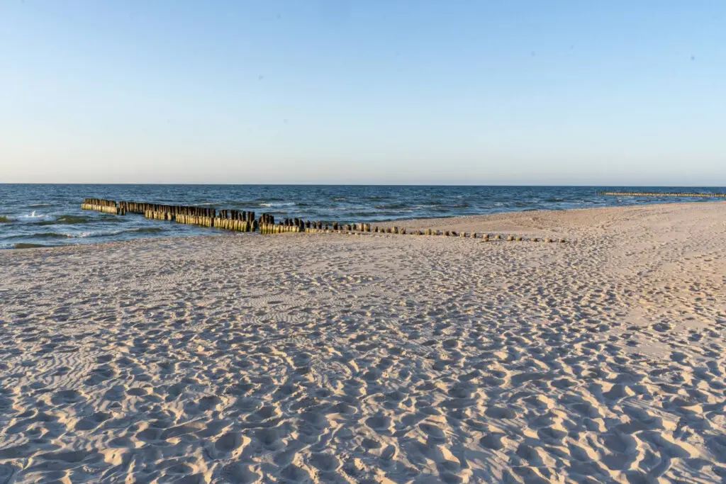 70594 497265 bpUF6Y1Up0E21slGyaIR5Ndfat9CAhCT63p4QIRCnVg 69b703d87b42f.jpg