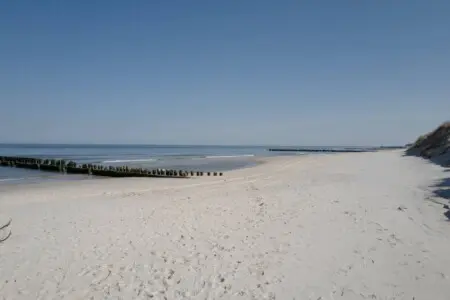 70594 497265 h zZV1ZOCc oQ85MOzcg9JXPWM4fBJnhcwe4soJd680 69b703ce24cdd.jpg