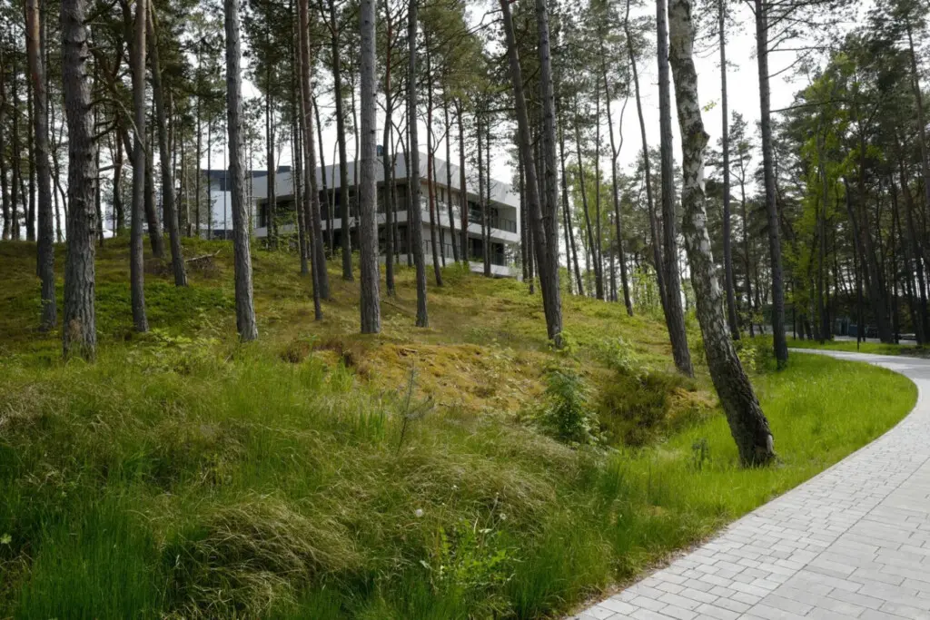 70594 497265 wgyFvRYiFn2iX40ChJaf1y1vg2 p99jjm1PBxMki8jU 69b703c6e571d.jpg