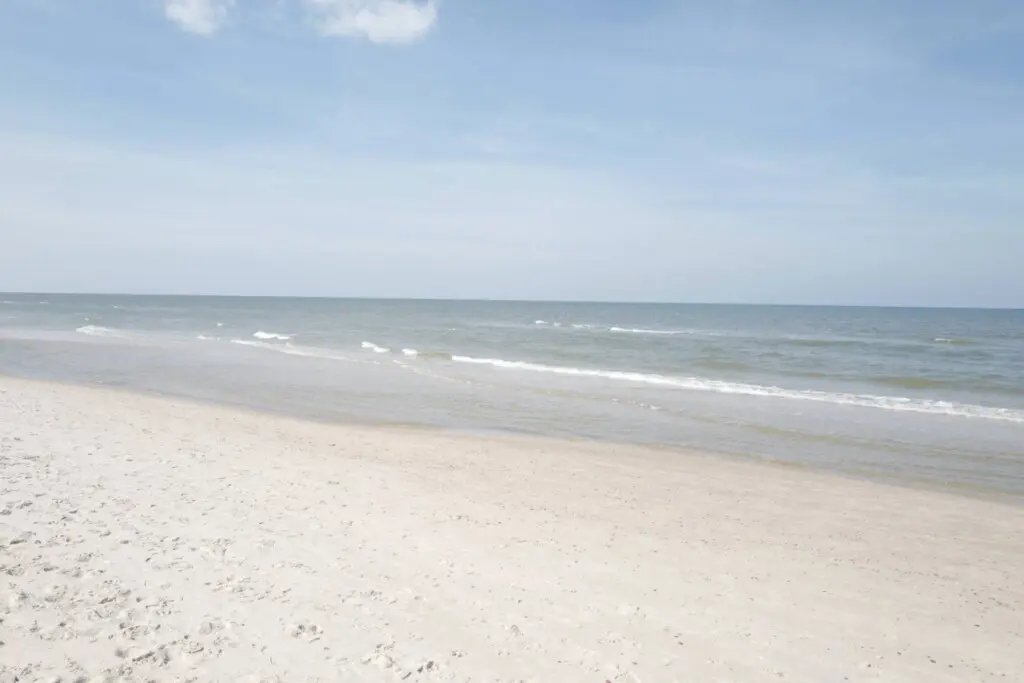 70594 497265 xdbHFNEdzMROc5WqyI4KjwtMfUIOkaqRQnIkAATltJg 69b703ca71480.jpg