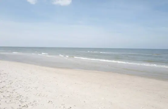 70594 497265 xdbHFNEdzMROc5WqyI4KjwtMfUIOkaqRQnIkAATltJg 69b703ca71480.jpg