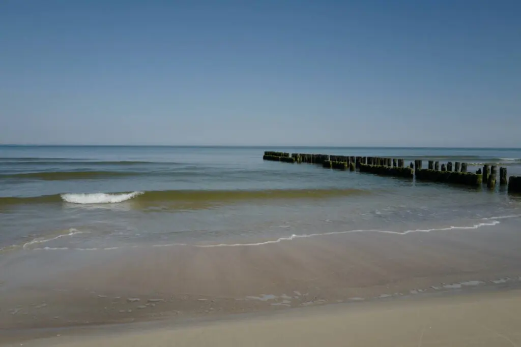 70594 497267 HSj8IghoWhkfHwr0NF UFzCnpSRbhpCM7UIAwEmI69k 69b70a6b50307.jpg