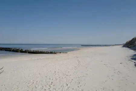 70594 497267 i7JNQizI5uFyqIQL3J OFkZeNmfMrt7HUOwaGhlqFTI 69b703a0d5ec9.jpg