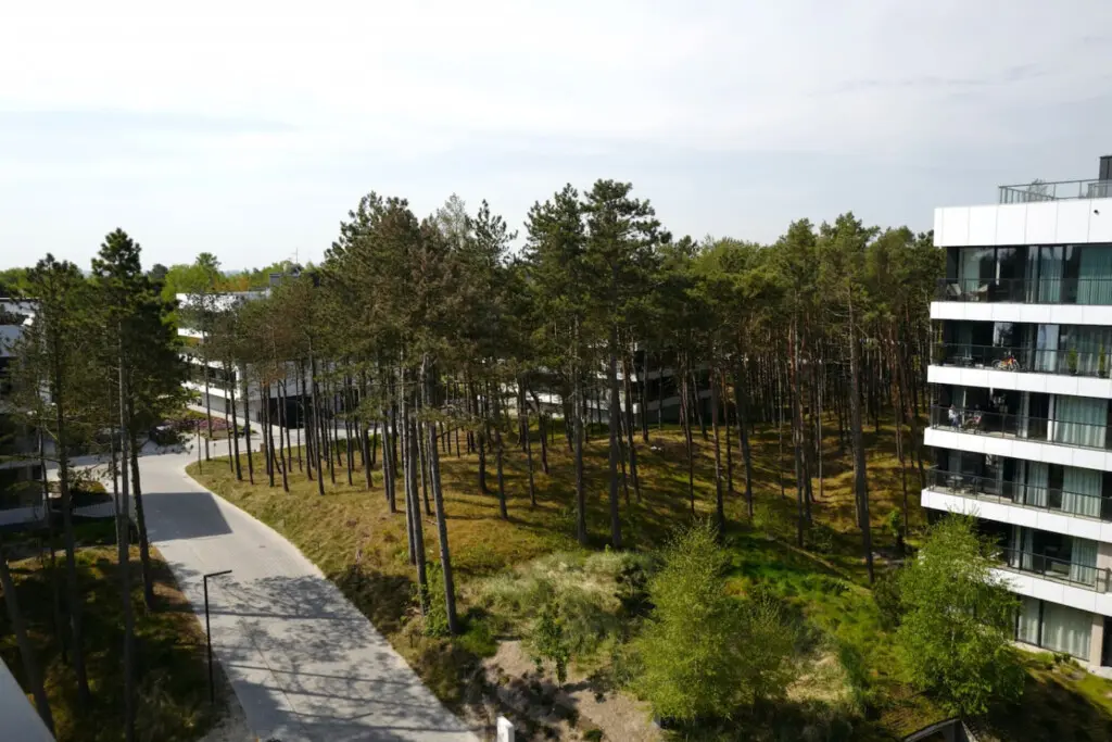 70594 497267 qbiFMjpBKzwyp22lFO4UZ0N44QNhk7BveOE07qBc67E 69b70a675c3b9.jpg