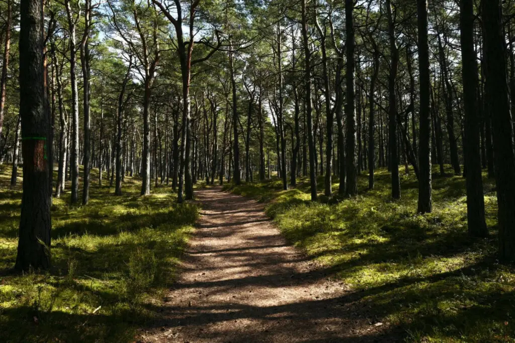 70594 497267 yTYsLr MgP3C6tod 3lSAp2eRhPrYCR5yMPnOdSd8HY 69b7039665243.jpg