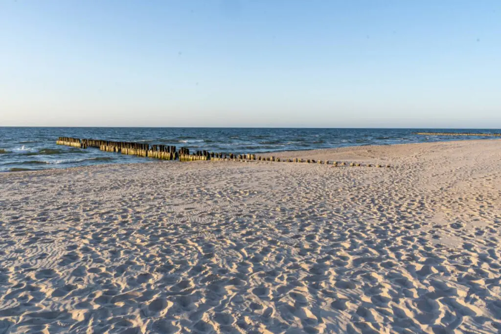 70594 497269 6qYHS8HA7oxPVZV g dextFiqREFSI1eLBG5lmd3DNs 69b7033396c4e.jpg