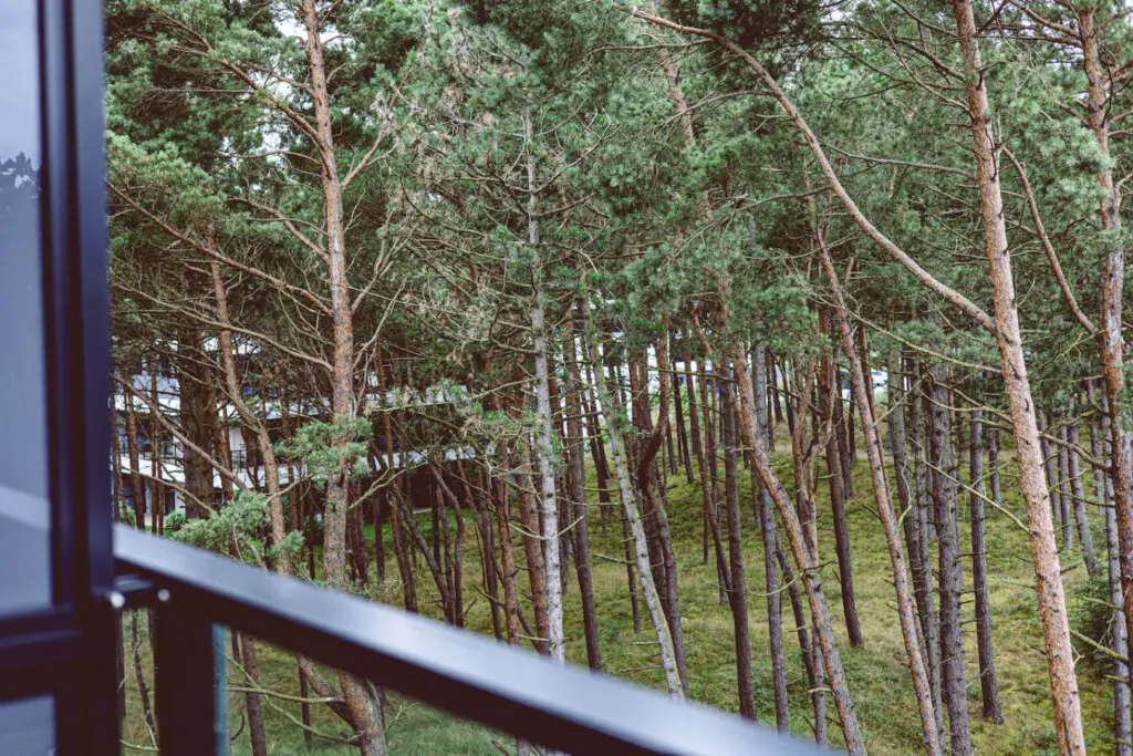 70594 497269 AIDSwRfG3 gxk9hjK givEfg4Lglhoe9jQaTGjX9Yls 69b70a5a55263.jpg