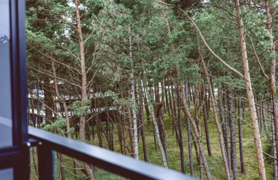 70594 497269 AIDSwRfG3 gxk9hjK givEfg4Lglhoe9jQaTGjX9Yls 69b70a5a55263.jpg