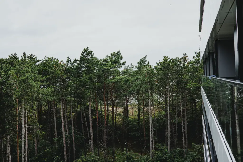 70594 497269 qsFvbyxT0KqRSEuEg g h3F4OMvkytbLBMW4ZervVo 69b70a59405b7.jpg