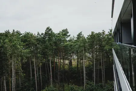 70594 497269 qsFvbyxT0KqRSEuEg g h3F4OMvkytbLBMW4ZervVo 69b70a59405b7.jpg