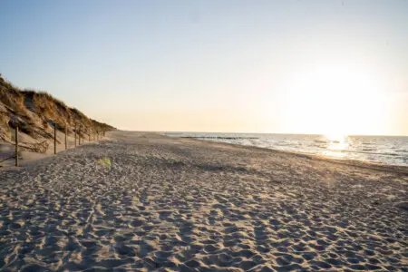 70594 497270 KbJEnlmUHy9N5WVRI0FXhvT9n6 JTPHNz9mJqyDjVs8 69b7103895a44.jpg