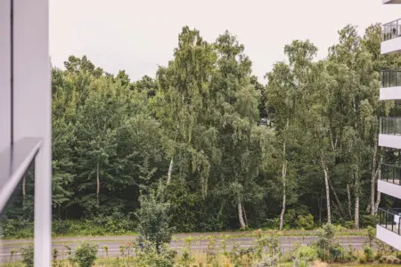 70594 497270 fTIeNqGE2QDTQS8sGNvfDqmKZuDKp ihIZRt8JENEXY 69b70322d4a1e.jpg