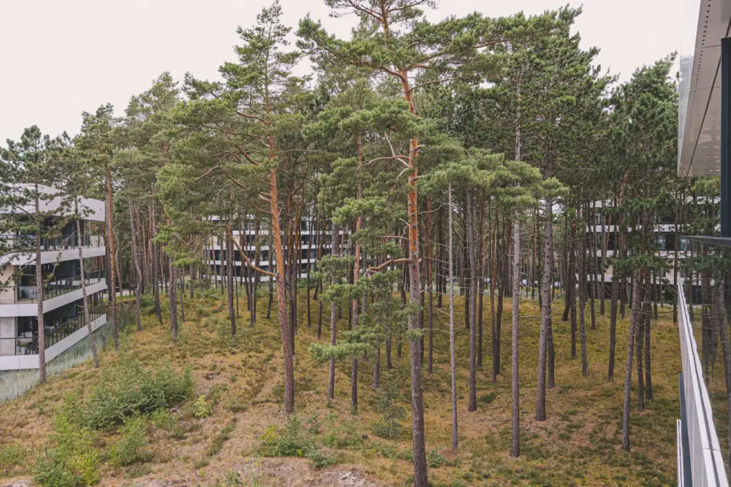 70594 497270 wymQAZz3 x1f1EoFFuGSS9v3GykW FZRa7kUPwMdpI 69b7030bccae3.jpg