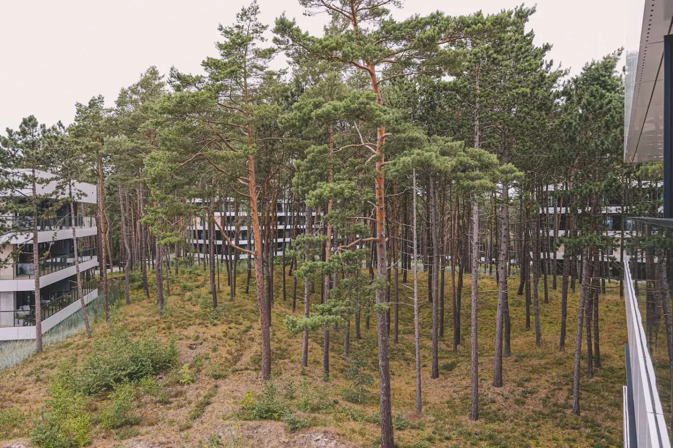 70594 497270 wymQAZz3 x1f1EoFFuGSS9v3GykW FZRa7kUPwMdpI 69b7030bccae3.jpg