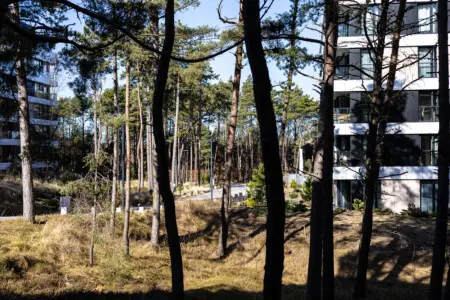 70594 498204 L8dCKPFu8DqpFWv56loiZjCWRKXOPDgdHyRJhKiDOxQ 69b9c7ab46a02.jpg