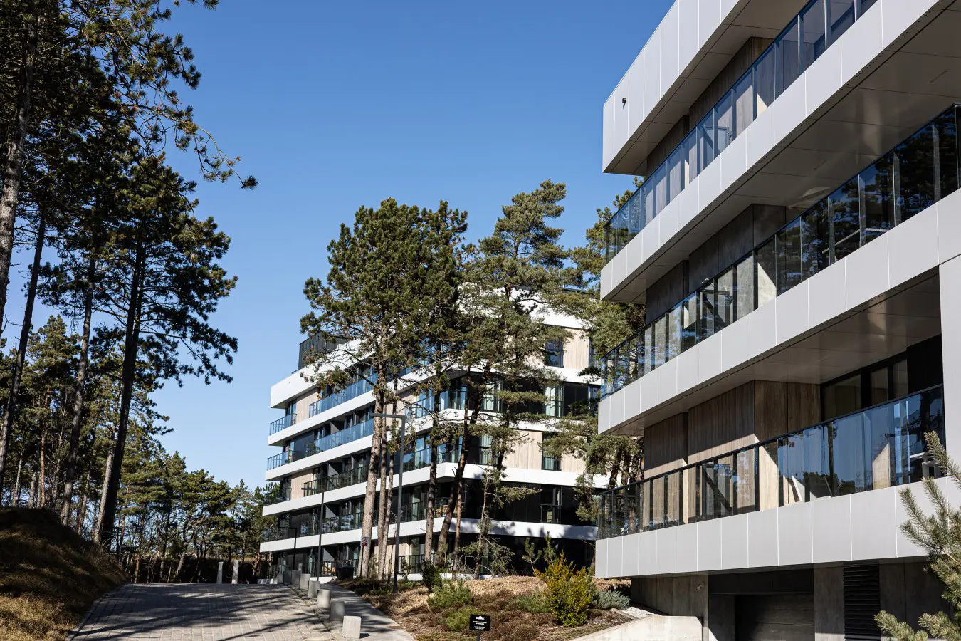 70594 498204 UQbJYzmLx0EeYIykp8rdpAnkZKeWy 2hFWrDmtOkB2A 69b9c79f1081d.jpg